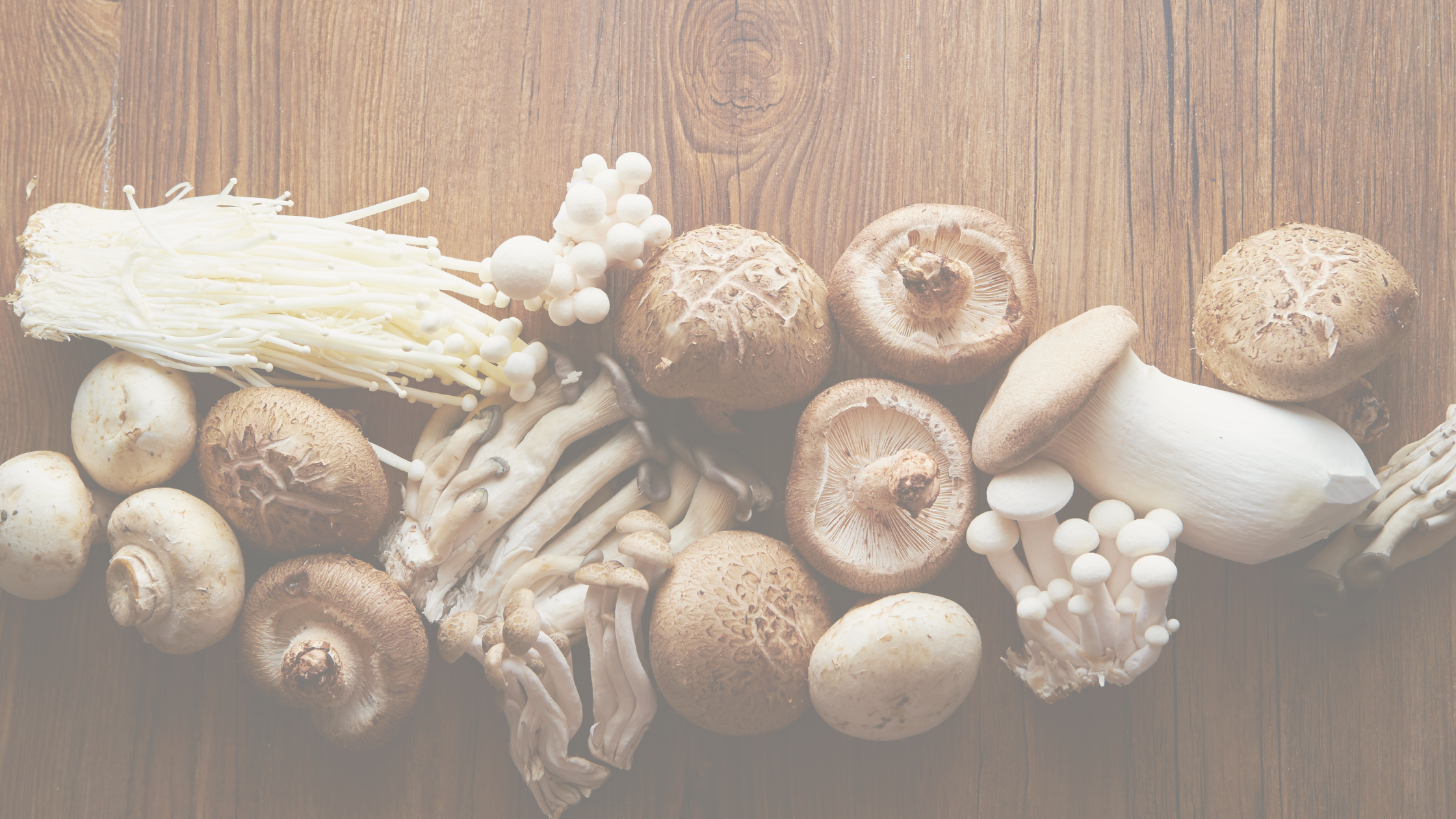 Functional Mushrooms for Energy: What Gen X Needs to Know