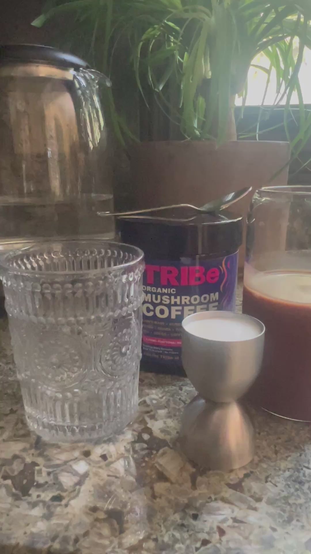TRIBe Organic Mushroom Coffee (6 oz)- Automatic 20% off Limited Time