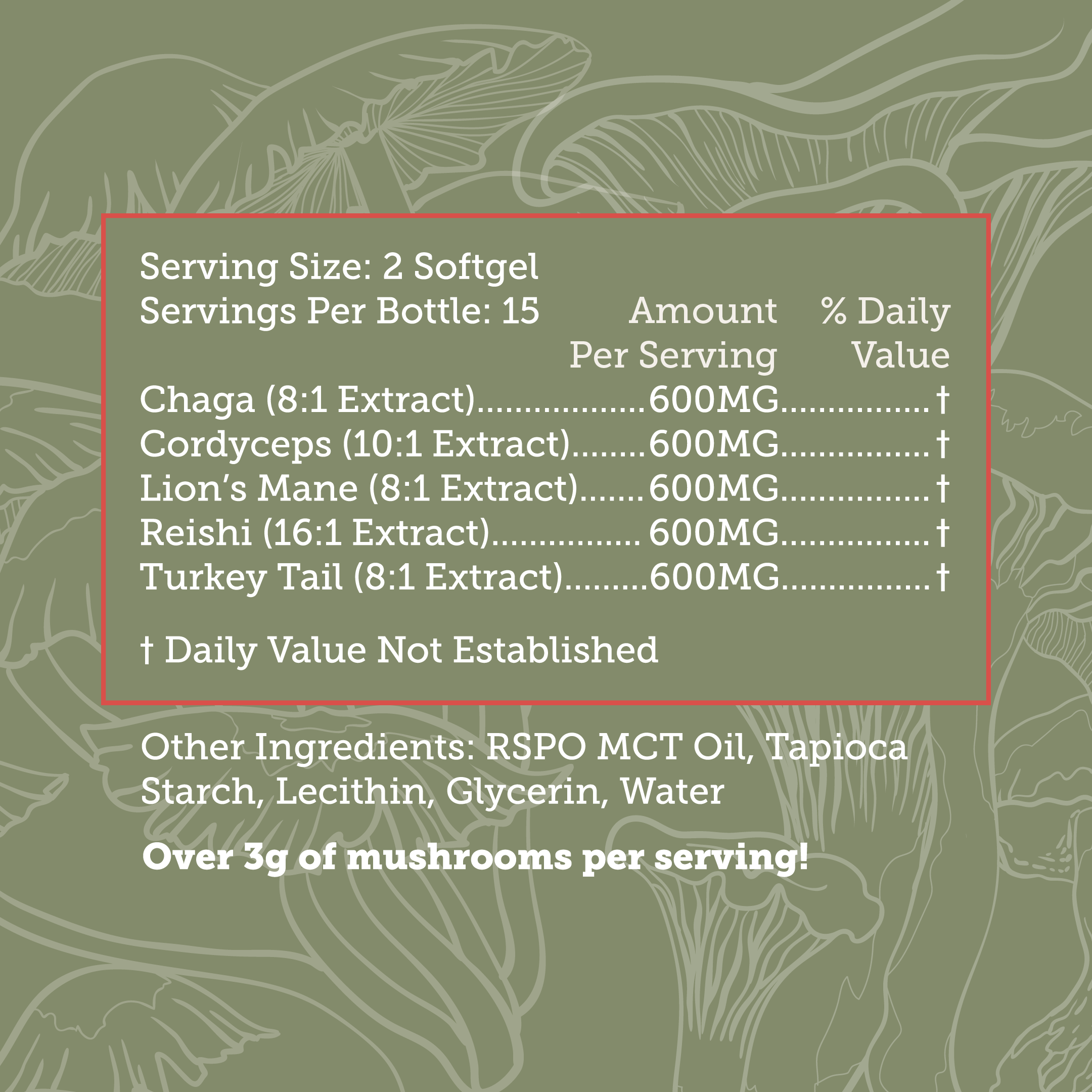 Supplement facts and ingredients label for Xtreme Brands Wellness Capsules – includes Lion’s Mane, Reishi, Chaga, and Cordyceps mushrooms for immune, focus, and vitality support.
