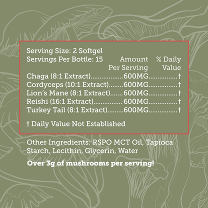 Supplement facts and ingredients label for Xtreme Brands Wellness Capsules – includes Lion’s Mane, Reishi, Chaga, and Cordyceps mushrooms for immune, focus, and vitality support.
