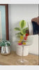 Rapid Relief Gummies in focus during lifestyle video – hemp‑derived CBD gummies for everyday comfort and recovery.
