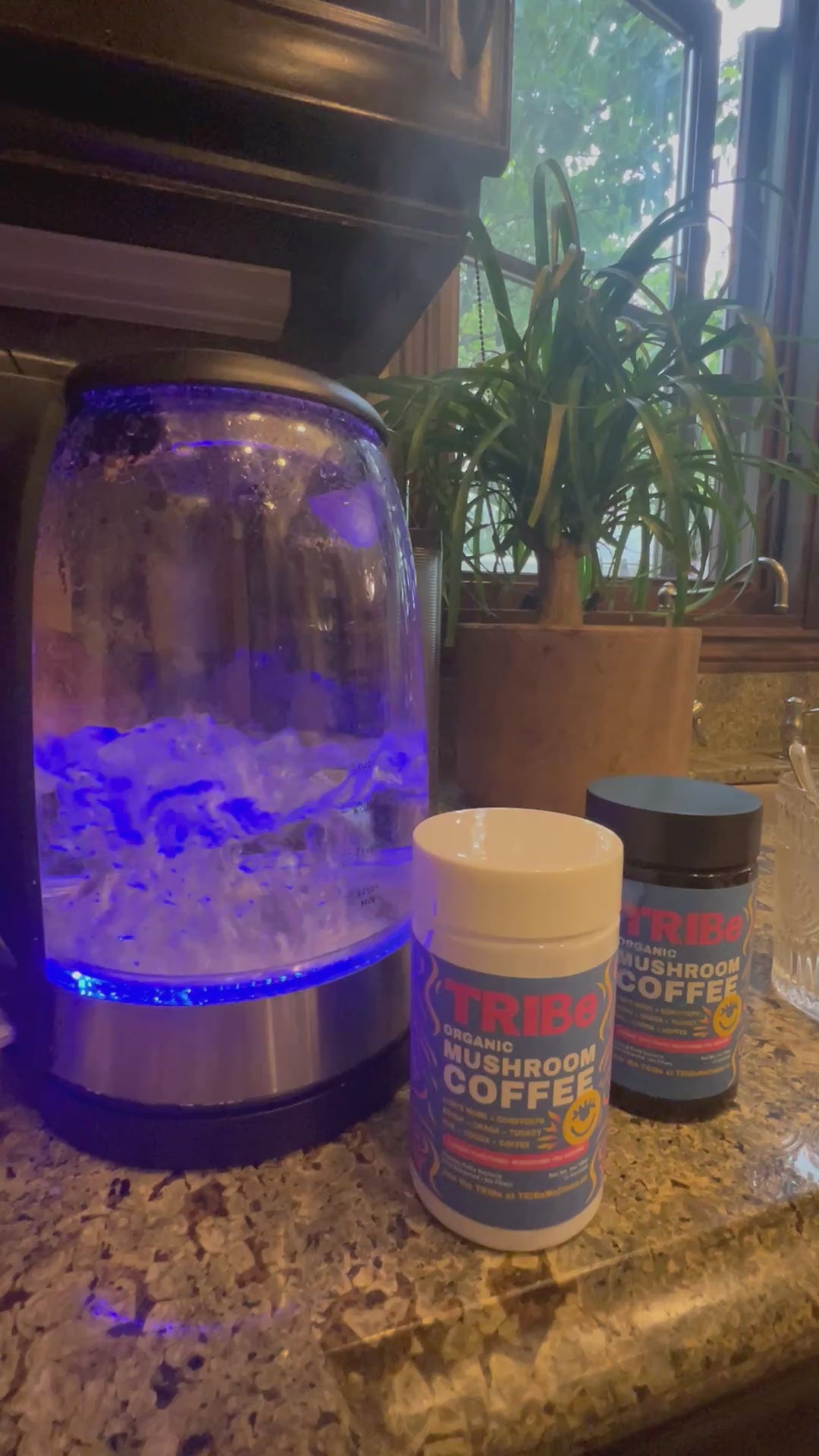 TRIBe Organic Mushroom Coffee (3 oz)